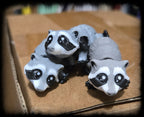 Tiny Racoon