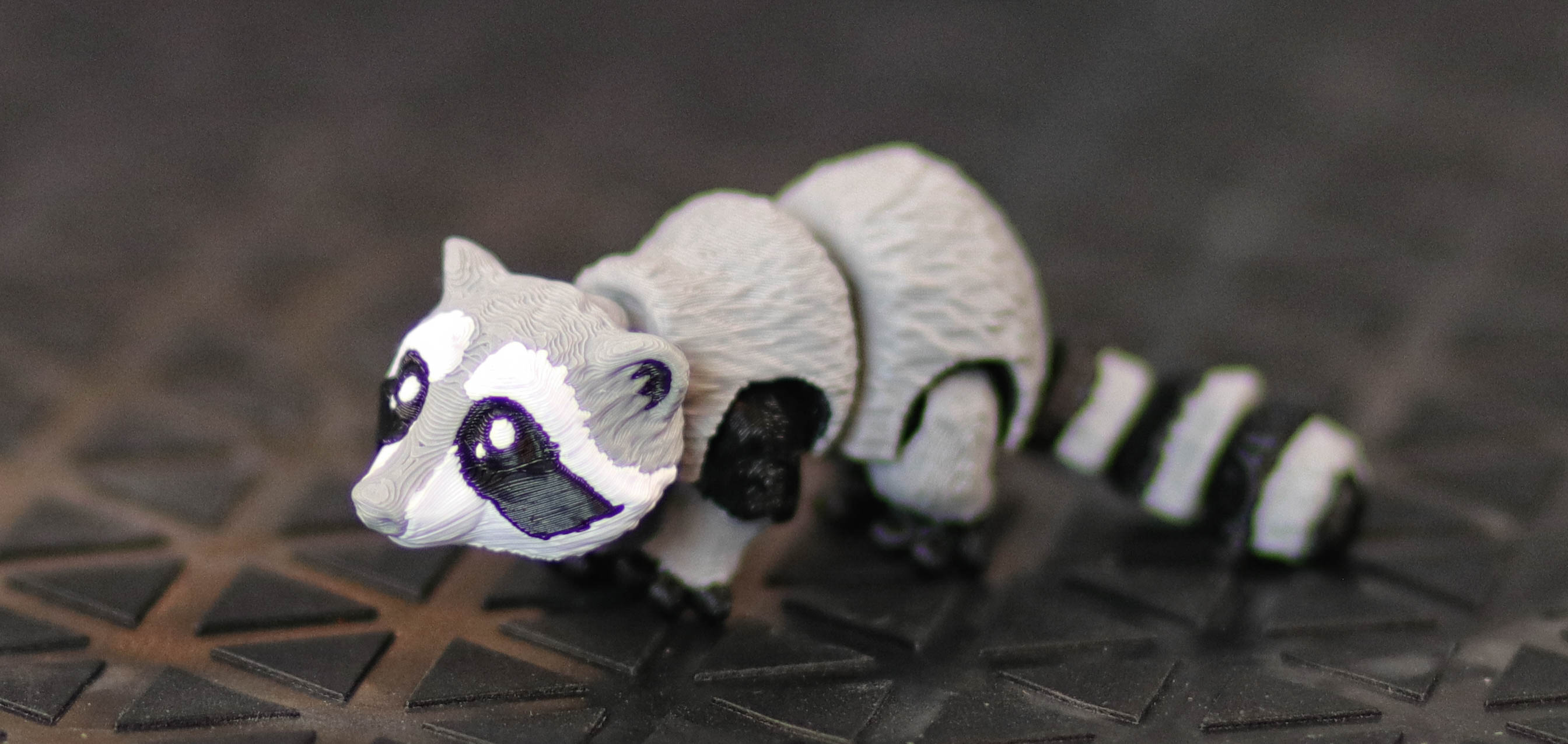 Tiny Racoon