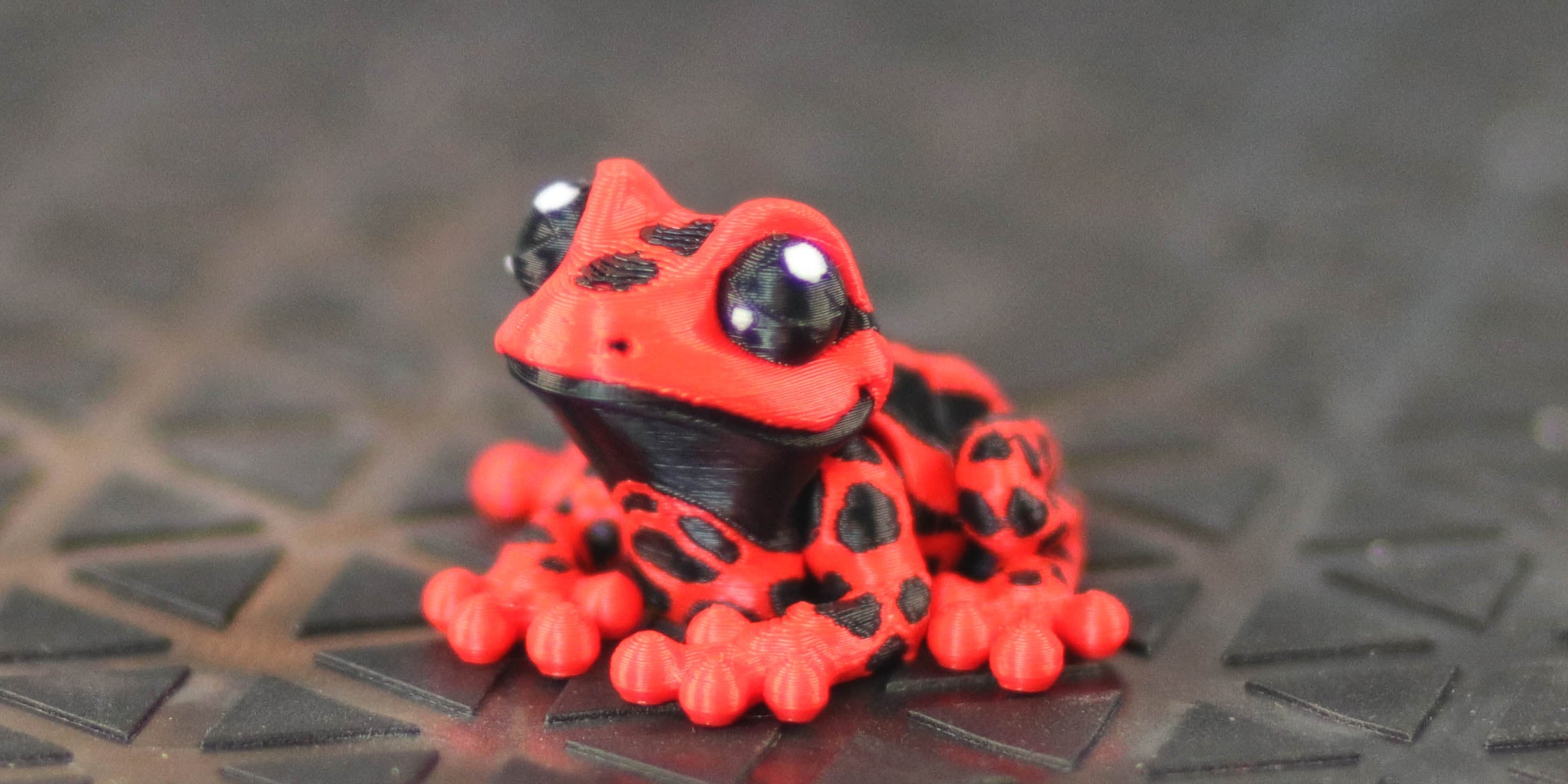 Tiny Poison Frog