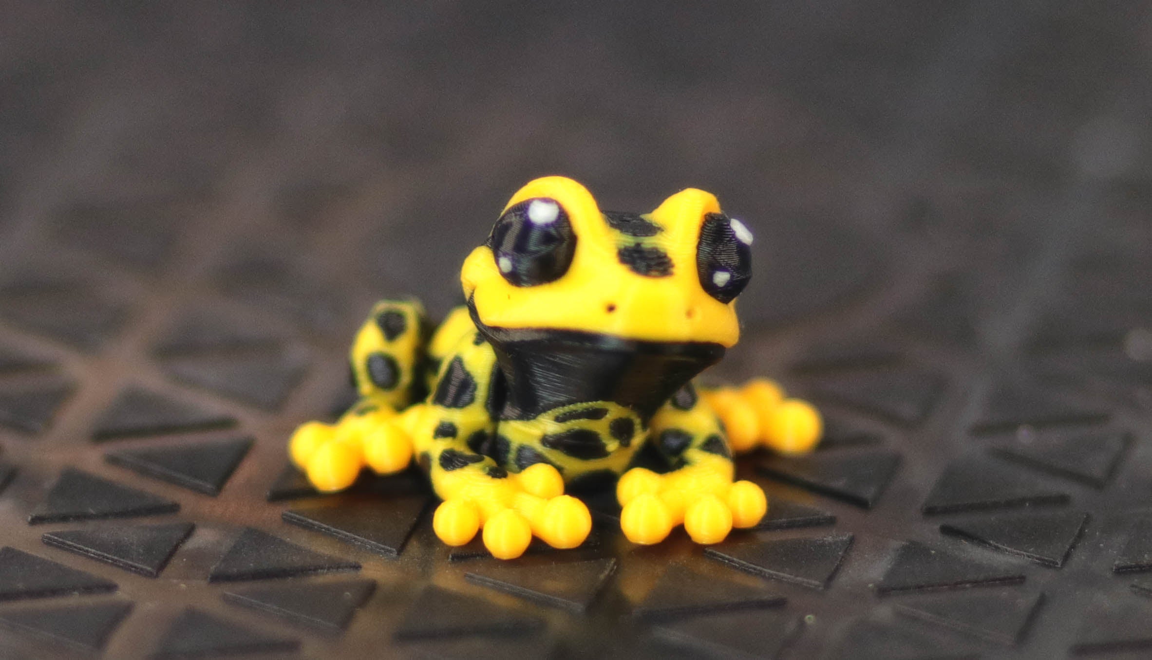 Tiny Poison Frog