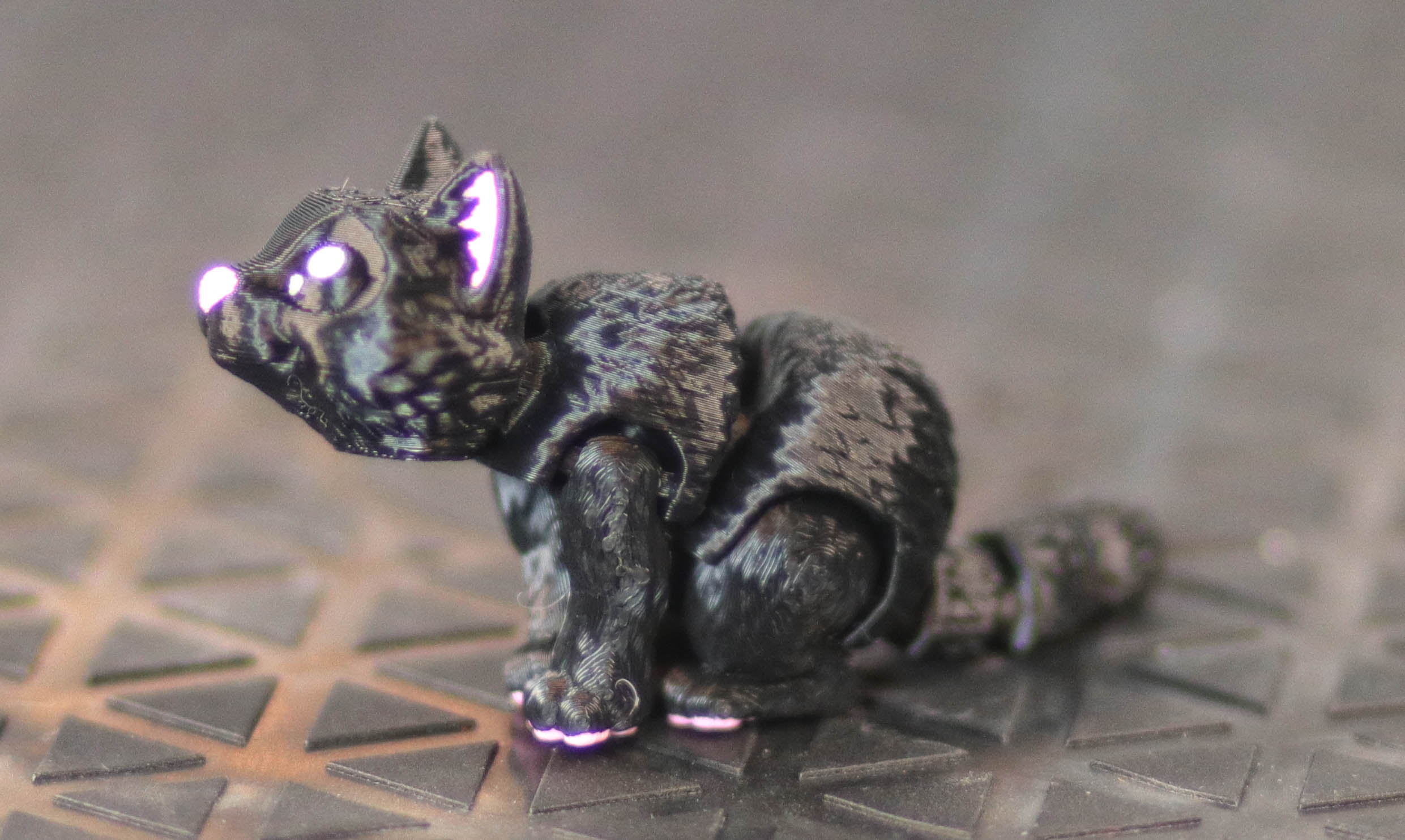Tiny Cat