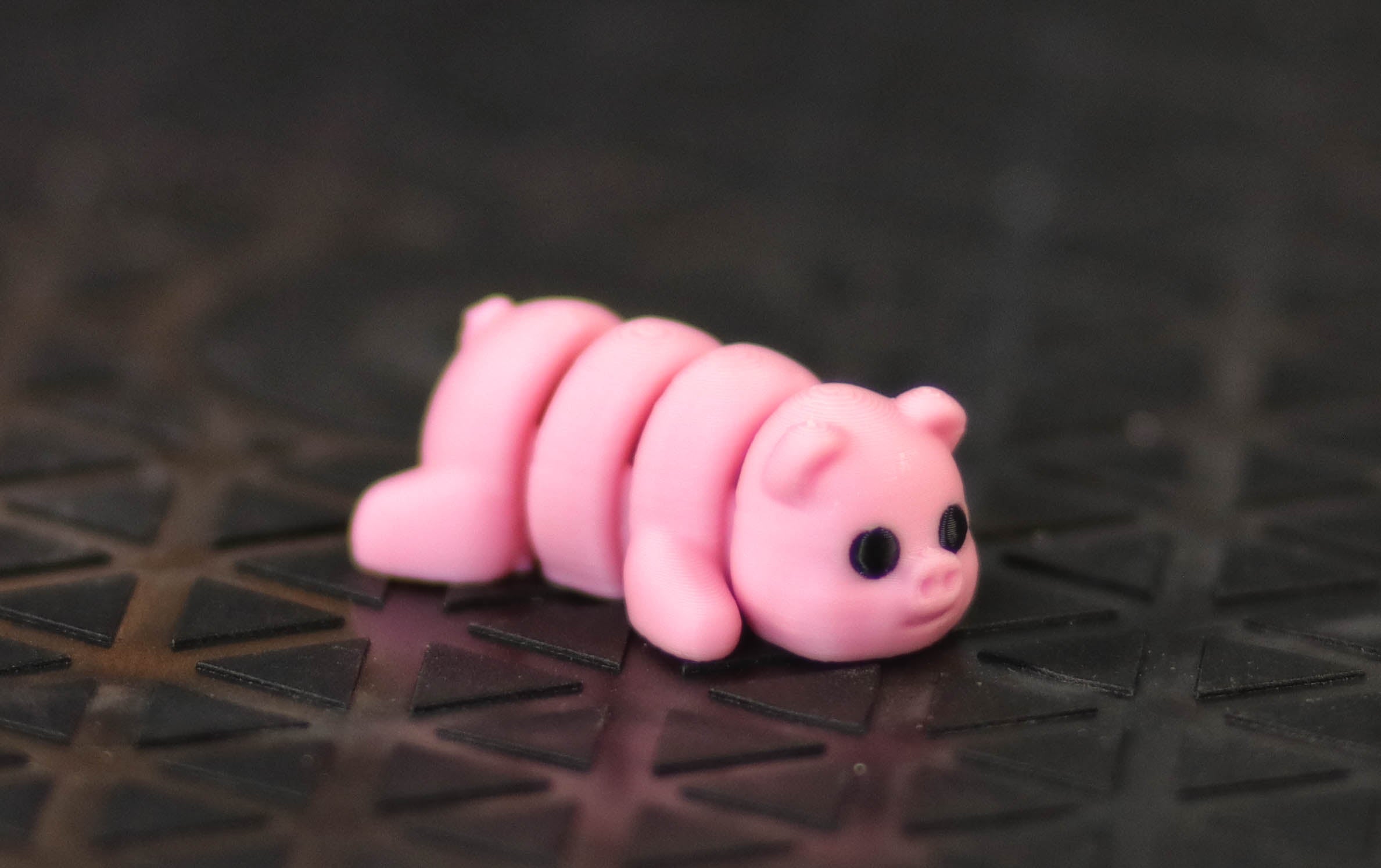 Mini Pig