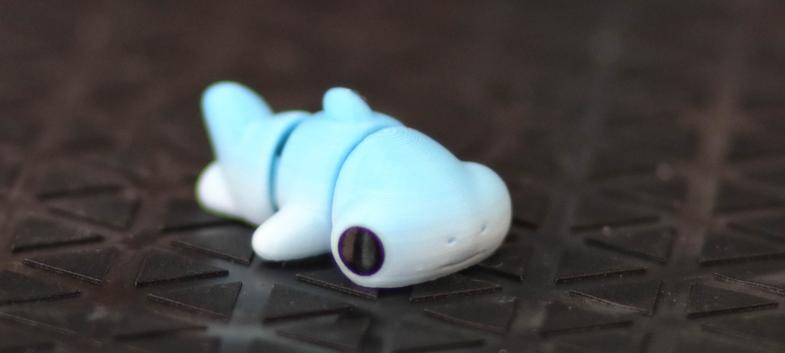 Mini Hammerhead Shark