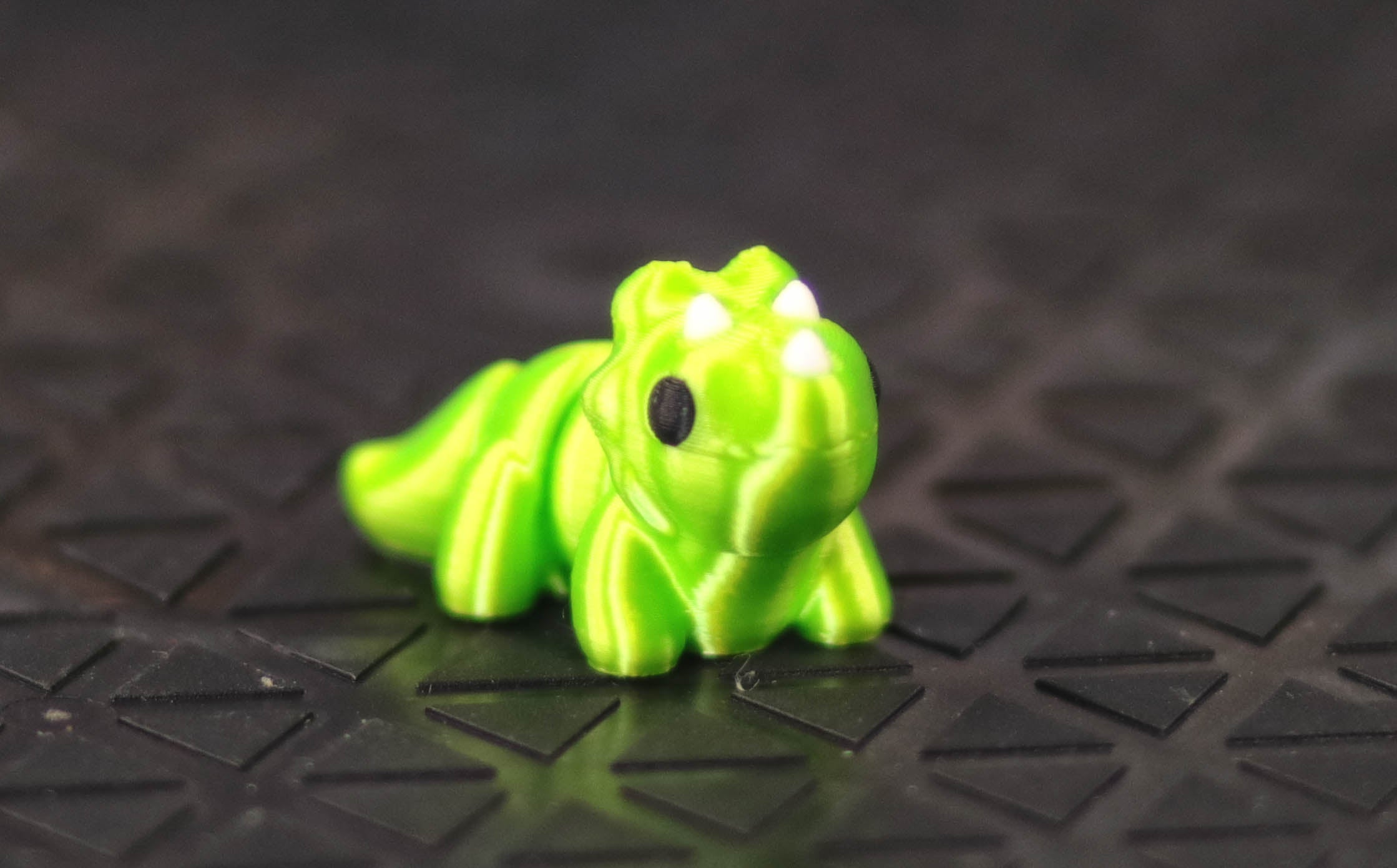 Mini Triceratops