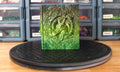 Fates End - Dragon Tome