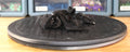 Black Dragon