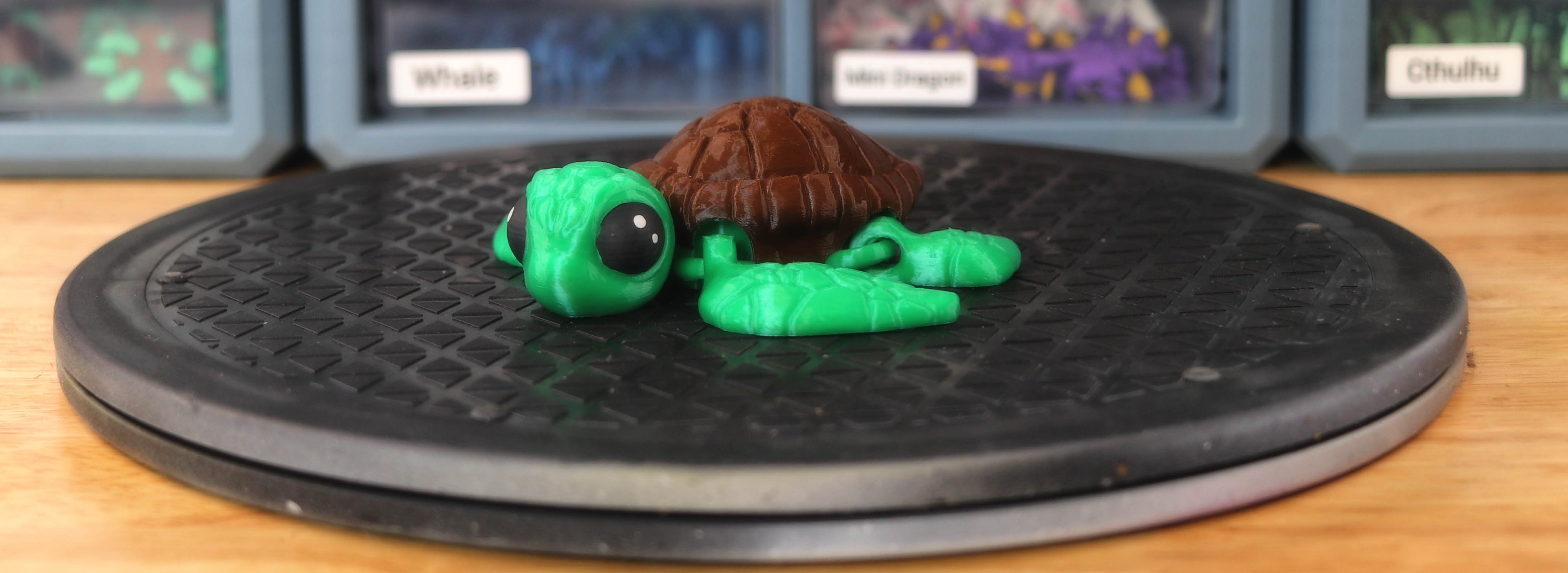Sea Turtle