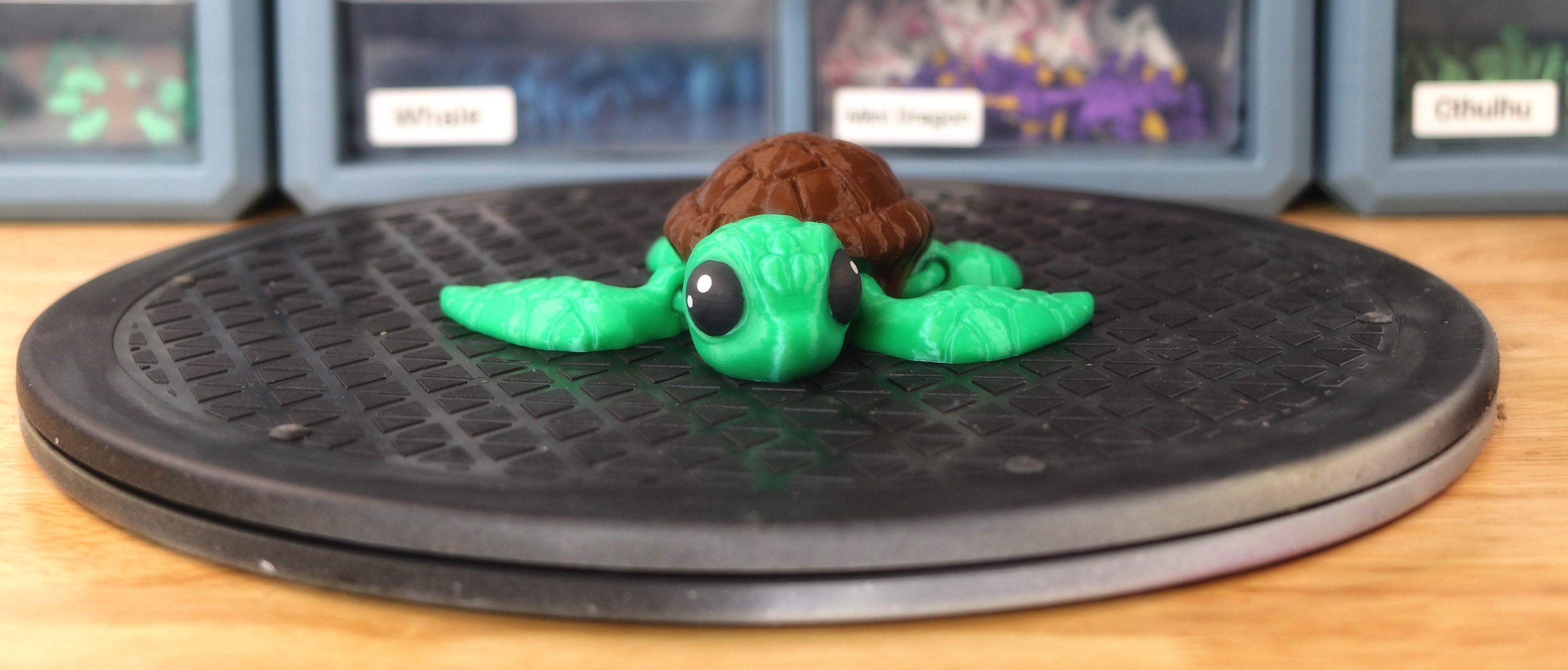 Sea Turtle