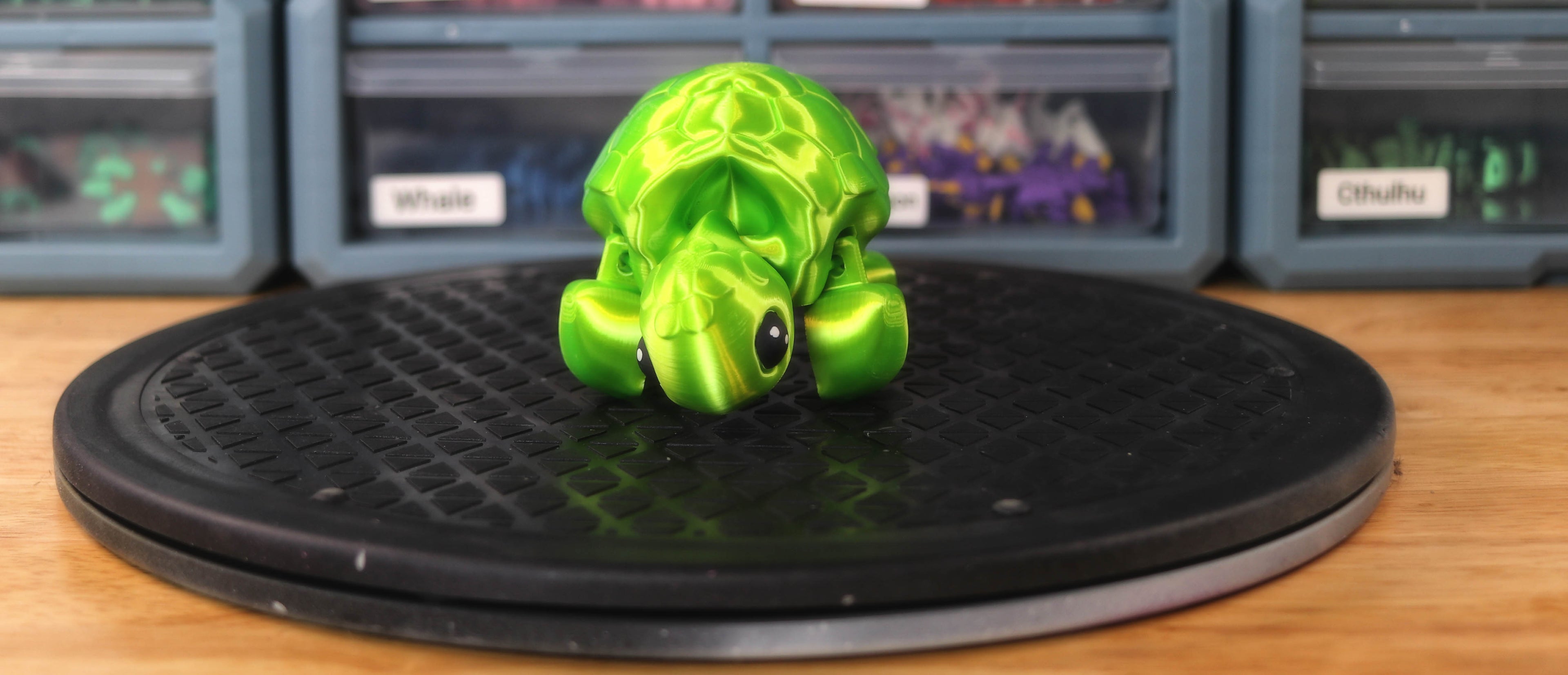 Turtle