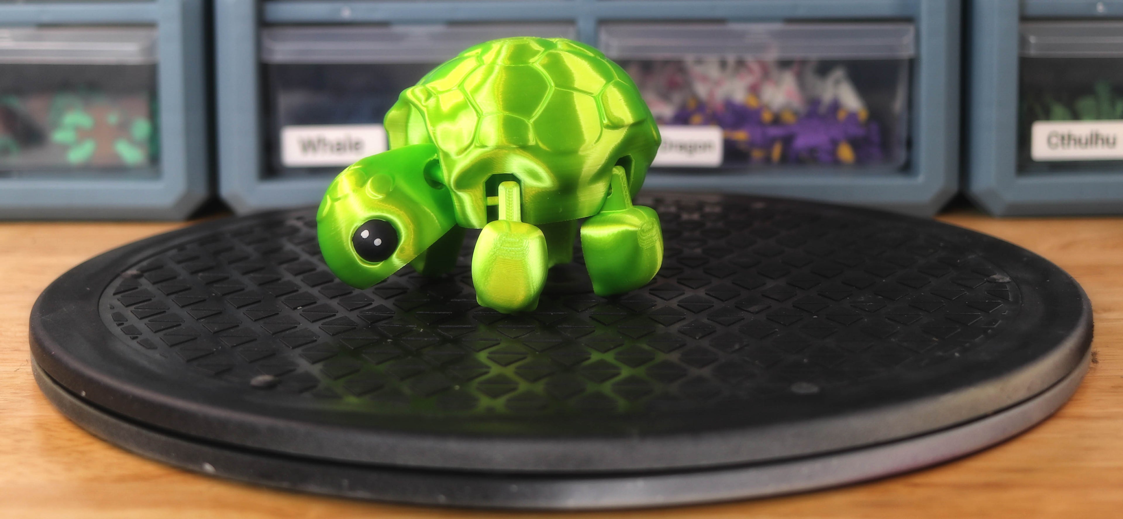Turtle
