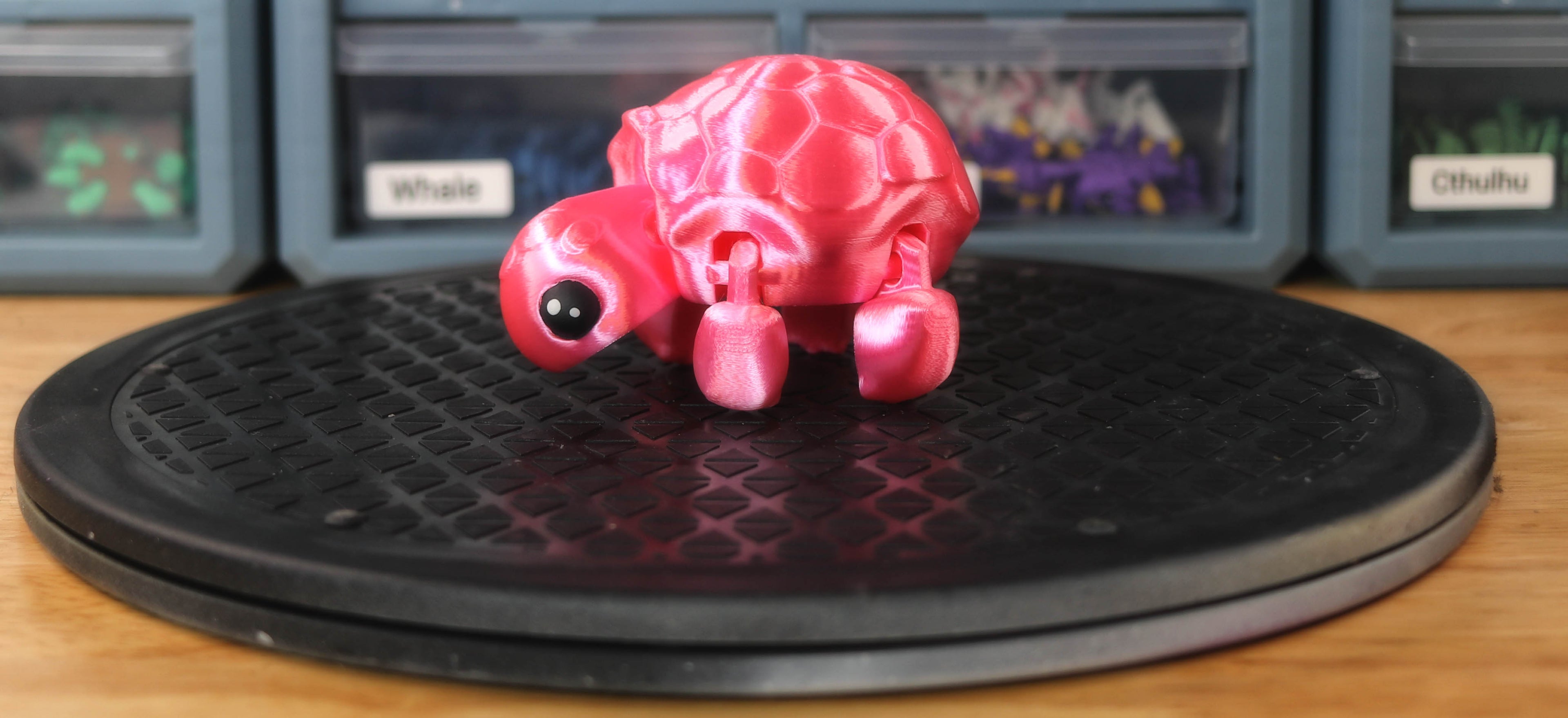 Turtle