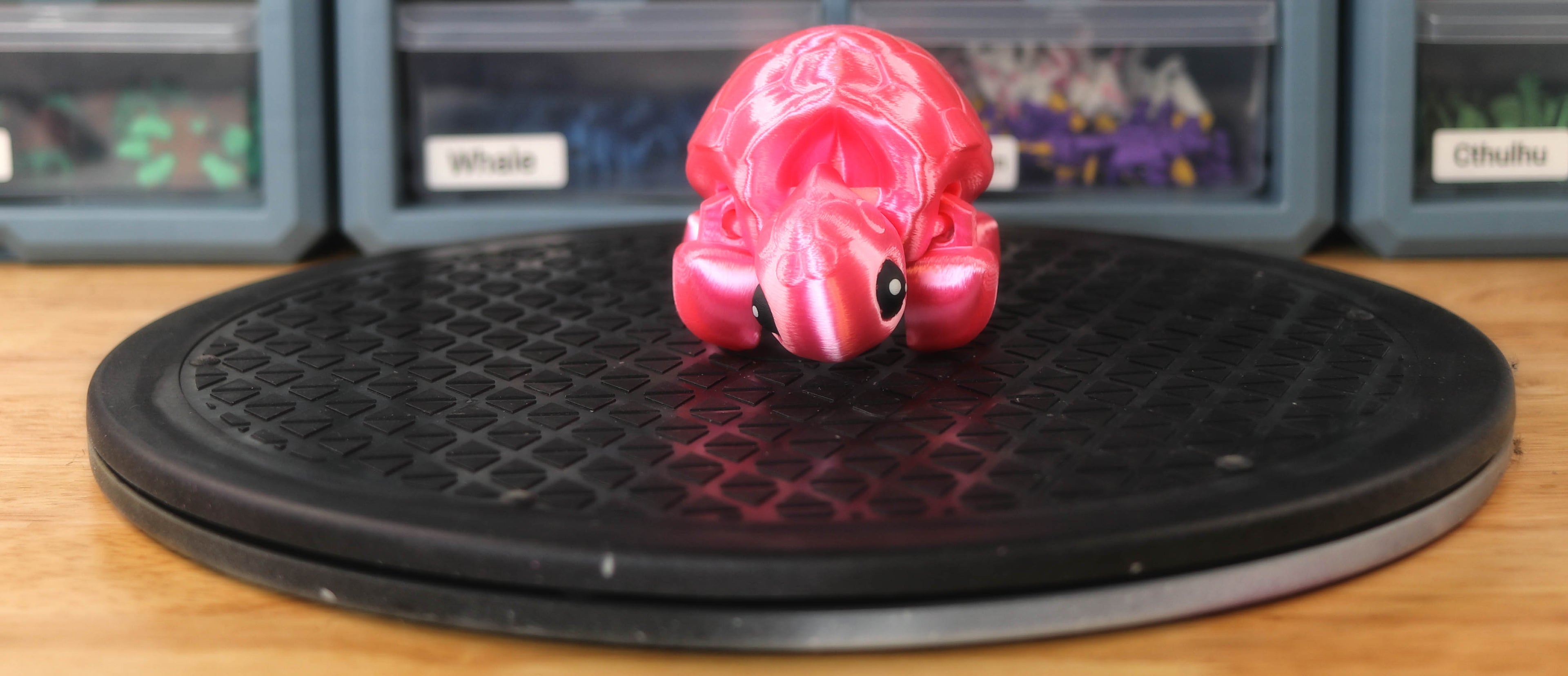 Turtle