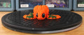 Pumpkin Turtle
