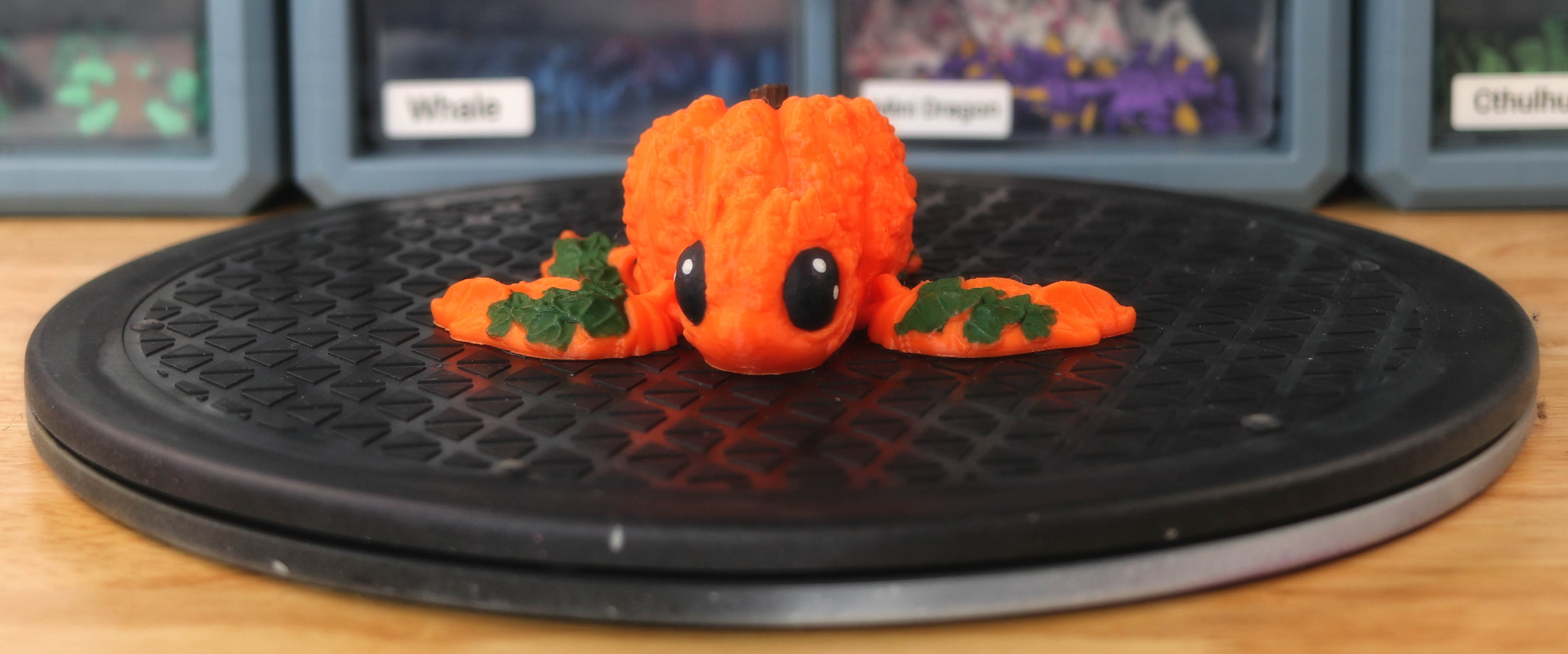 Pumpkin Turtle