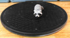 Small Raccoon