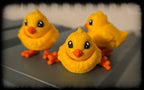 Tiny Chick