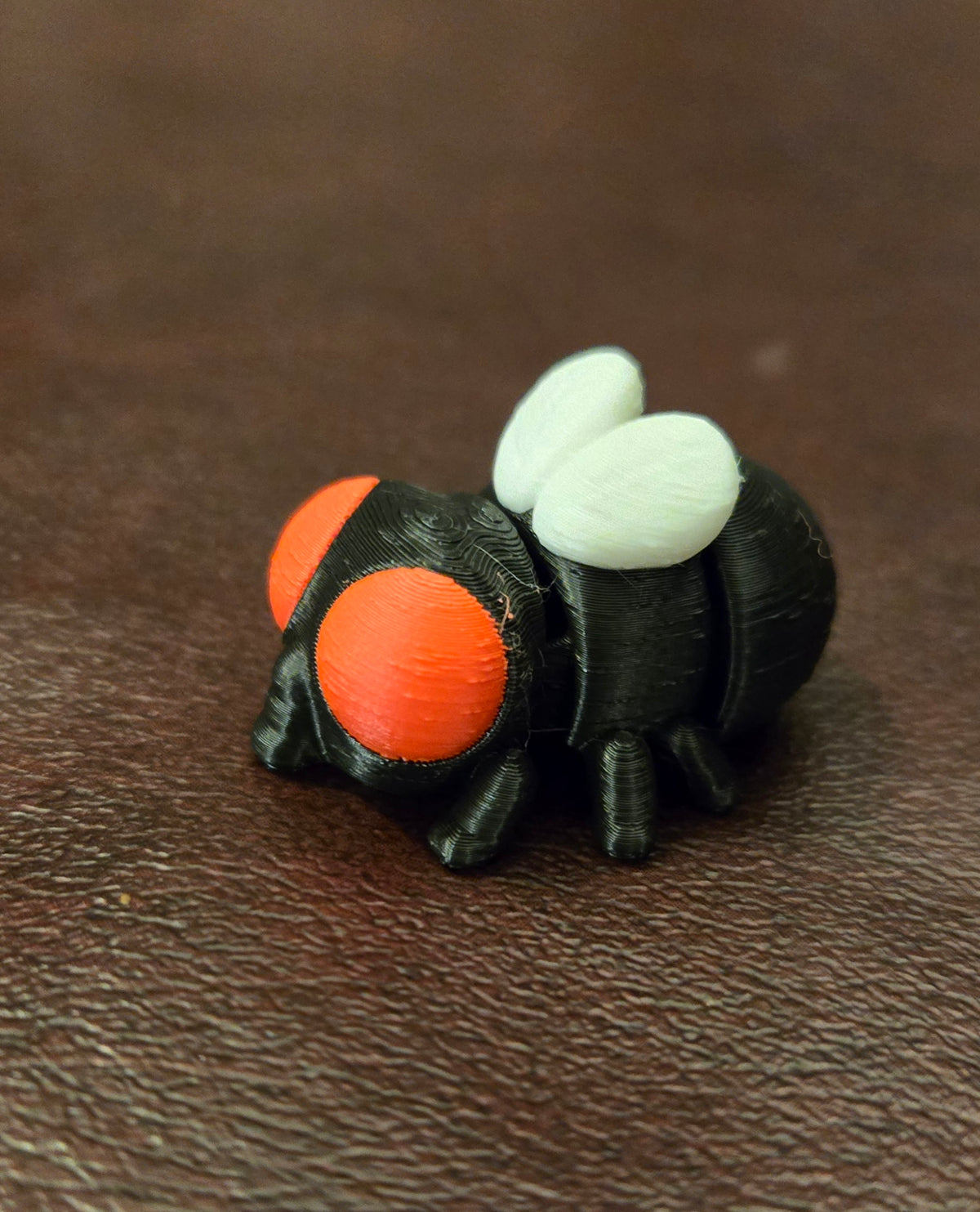 Baby Fly